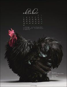 Pretty Chicks Kalender 2022