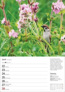 Heimische Vögel Wochenplaner 2026