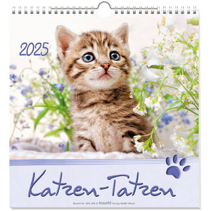 Katzen-Tatzen 2025