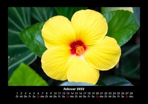 Blumenkalender 2022 Fotokalender DIN A3