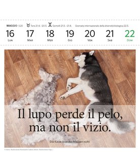 PONS Sprachkalender 2022 Italienisch