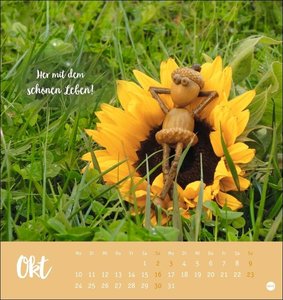 Eichelmännchen Postkartenkalender 2022