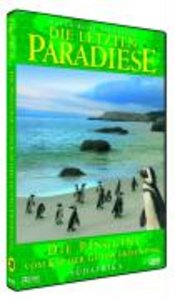 Die Pinguine vom Kap der Guten Hoffnung, 1 DVD