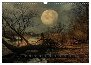 Sehnsucht der Natur (Wandkalender 2024 DIN A3 quer), CALVENDO Monatskalender