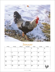 Der Hühnerkalender 2026