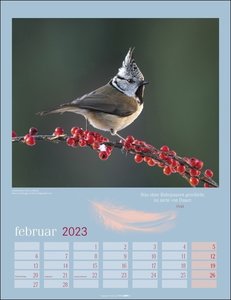 Heimische Vögel Kalender 2023. Wandkalender mit 12 tollen Fotografien heimischer Vogelarten. Tier-Kalender 2023 zum Aufhängen. Foto-Kalender mit Monatsübersicht. 30x39 cm