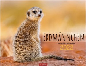 Erdmännchen Kalender 2022