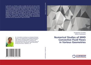 Numerical Studies of MHD Convective Fluid Flows in Various Geometries