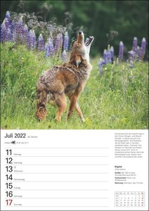 Unsere Tierwelt Kalender 2022