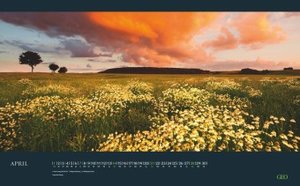 GEO: Augenblicke in der Natur 2024 - Wand-Kalender - Reise-Kalender - Poster-Kalender - 58x36