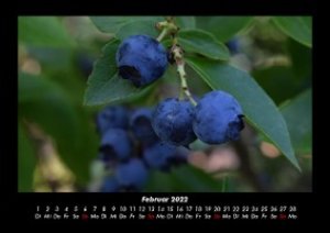 Obstkalender 2022 Fotokalender DIN A3