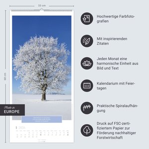 Wunderwelt der Bäume Kalender 2026