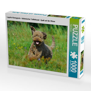 CALVENDO Puzzle Lagotto Romagnolo - Italienischer Trüffelhund - Spaß auf der Wiese 1000 Teile Puzzle quer