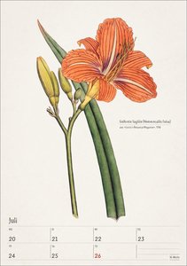 Bunte Pflanzenwelt Wochenplaner 2026