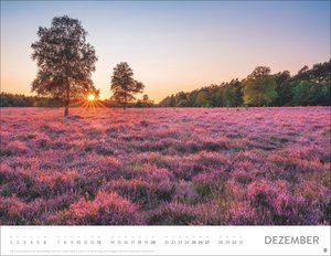 Blütenmeer Posterkalender 2026