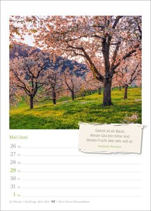 Lebensweisheiten Wochenkalender 2025