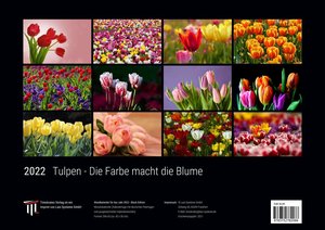 Tulpen - Die Farbe macht die Blume 2022 - Black Edition - Timokrates Kalender, Wandkalender, Bildkalender - DIN A3 (42 x 30 cm)