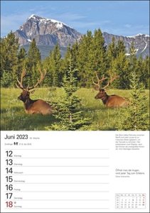 Kanada Wochenplaner 2023. Die Schönheit kanadischer Landschaften, gepaart mit Zitaten in einem praktischen Terminkalender. Dekorativ und nützlich: Der Wand-Kalender 2023 zum Eintragen.