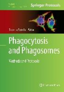 Phagocytosis and Phagosomes