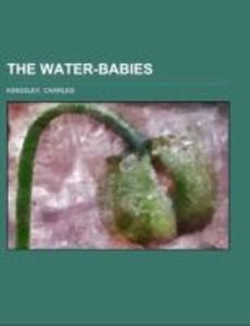 Kingsley, C: Water-Babies; a fairy tale for a land-baby