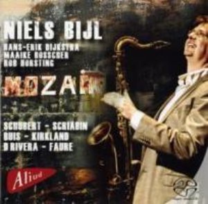 Bijl, N: Mozaik