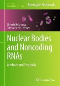 Nuclear Bodies and Noncoding RNAs