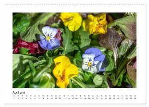 Wochenmarkt - Genussvoll Einkaufen (Wandkalender 2024 DIN A2 quer), CALVENDO Monatskalender