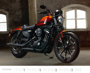 Best of Harley-Davidson 2022