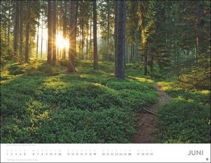 Auf Traumpfaden Kalender 2022