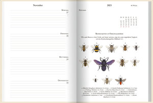 Bienenkalender 2023