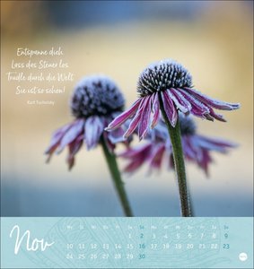 Tage voller Glück Postkartenkalender 2025