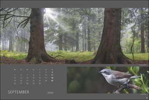Wald nah und fern Edition Kalender 2022