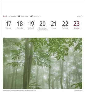 Bäume Postkartenkalender 2024. Fotokalender mit 53 Postkarten zum Sammeln und Verschicken. Dekorative Baum-Aufnahmen von bekannten Fotografen. Wochen-Tischkalender 2024