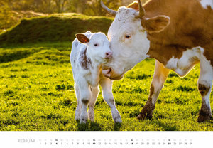 Tierkinder auf dem Bauernhof Kalender 2024