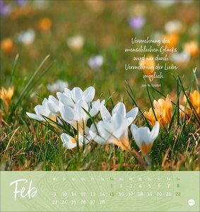 Tage voller Glück Postkartenkalender 2026
