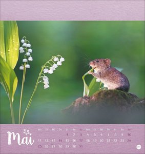 Vadim Trunov: Märchenhaftes Waldleben Postkartenkalender 2026