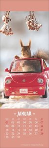 Eichhörnchen Lesezeichen & Kalender 2024. Süße kleine Aufmerksamkeit zu Weihnachten für Tierfreunde: Niedliche Eichhörnchenfotos, praktischer kleiner Kalender und Lesezeichen in einem!