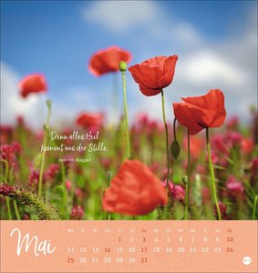 Stille Momente Postkartenkalender 2026