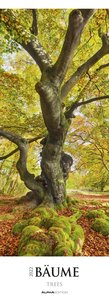 Bäume 2022 - Streifenkalender XXL 25x69 cm - Trees - Landschaftskalender - Natur - Bild-Kalender - Wand-Kalender - Alpha Edition