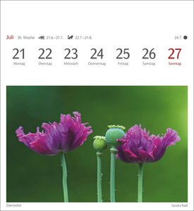 Farben der Natur Postkartenkalender 2025 - Wochenkalender mit 53 Postkarten