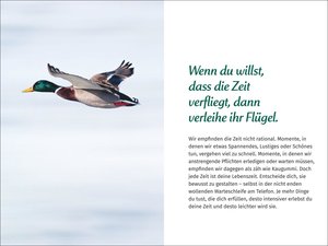 PAL - Der Lebensfreude Taschenkalender 2025
