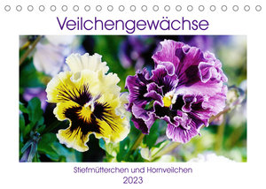Veilchengewächse - Stiefmütterchen und Hornveilchen (Tischkalender 2023 DIN A5 quer)