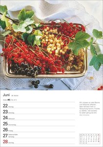 Küchenkalender Wochenplaner 2026