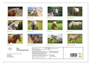 Der Pferdekalender (hochwertiger Premium Wandkalender 2024 DIN A2 quer), Kunstdruck in Hochglanz