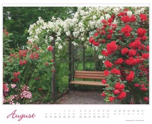 Im Rosengarten 2025 - DUMONT Garten-Kalender - Querformat 52 x 42,5 cm - Spiralbindung