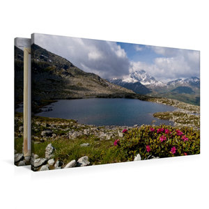 Premium Textil-Leinwand 90 cm x 60 cm quer Alpenrosen in Graubünden