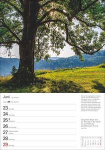 Bäume Wochenplaner 2025