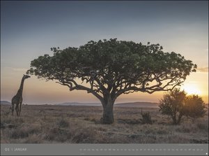 Afrika Kalender 2023: Alexander von Humboldt-Reihe. Hochwertiger Foto-Wandkalender mit atemberaubenden Landschafts-Fotografien. Mit Informationen und Landkarte. 78x58 cm