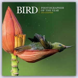 Bird - Photographer of the Year - Vögel - Fotografen des Jahres 2023
