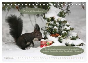 Eichhörnchen - Lustige Kurzgeschichten mit den quirligen Wildtieren (Tischkalender 2024 DIN A5 quer), CALVENDO Monatskalender
